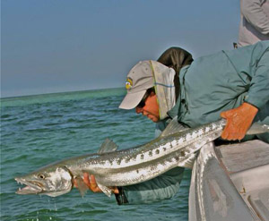 In this catch-and-release tournament, licensed guides to fish as anglers.